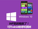 Windows Phoneֻɫ