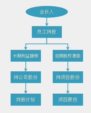 持股计划和项目跟投